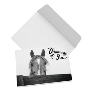 Thinking of You Notecards