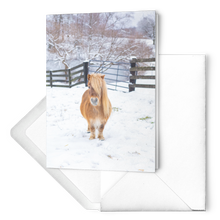 Load image into Gallery viewer, Snow Mini Note Cards
